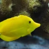 Sea Life Speyer (Kinder-Ticket)