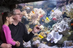 Sea Life Speyer (Kinder-Ticket)
