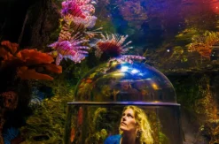 Sea Life Timmendorfer Strand
