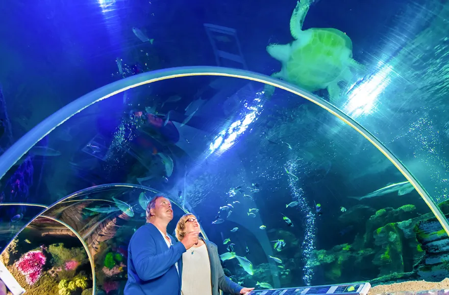Sea Life Timmendorfer Strand (1 EW + 1 Kleinkind)