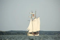 Segeln - Abendtour Achterwasser