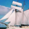 Segeln Hamburg mit Brunch (Hauptsaison)