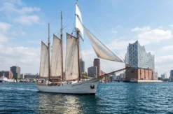 Segeln Hamburg mit Brunch (Nebensaison)