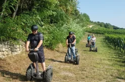Segway Tour durch die Weingärten von Jois