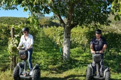 Segway Tour durch die Weingärten von Jois