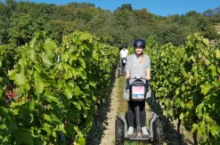 Segway Tour durch die Weingärten von Jois