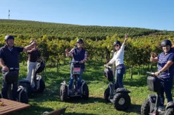 Segway Tour durch Jois