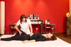 Shiatsu Massage Wien