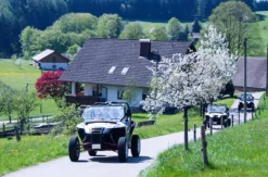 Side by Side Buggy fahren (2 Stunden)