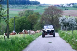 Side by Side Buggy fahren (2 Stunden)
