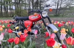 Simson Moped fahren Chemnitz (1 Tag)