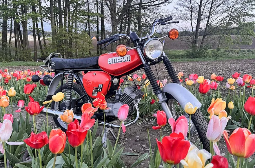 Simson Moped fahren Chemnitz (Fr-So)