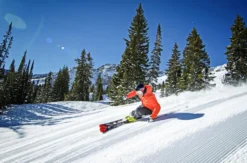 Skikurs Feldberg (2 Tage)