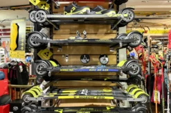 Skiroller Kurs Altenberg