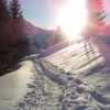 Skitour in Tirol