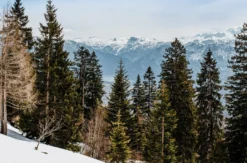 Skiurlaub Bad Ischl für 2