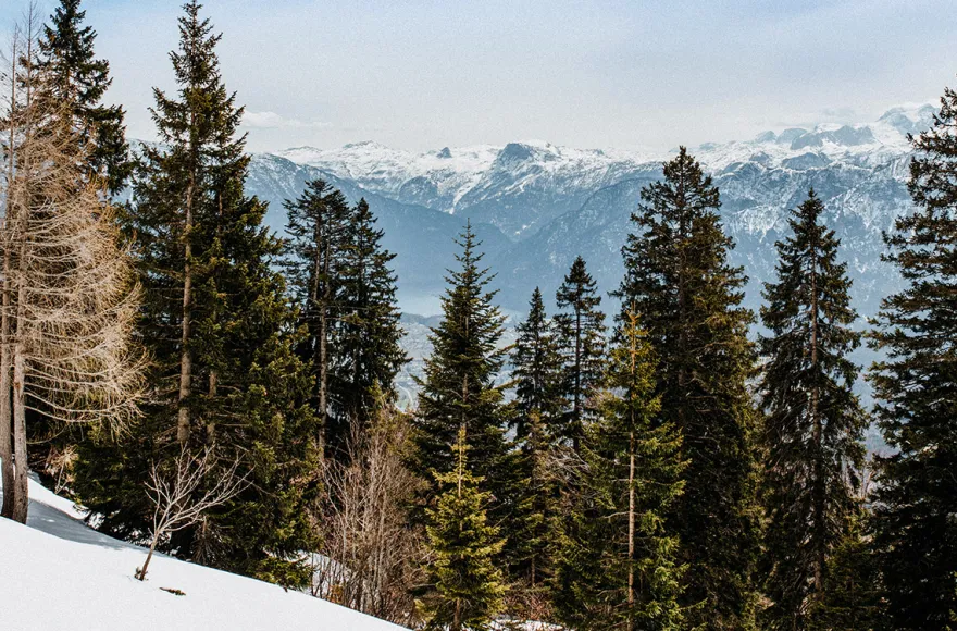 Skiurlaub Bad Ischl für 2