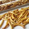 Snack Insects Kochset für Zuhause