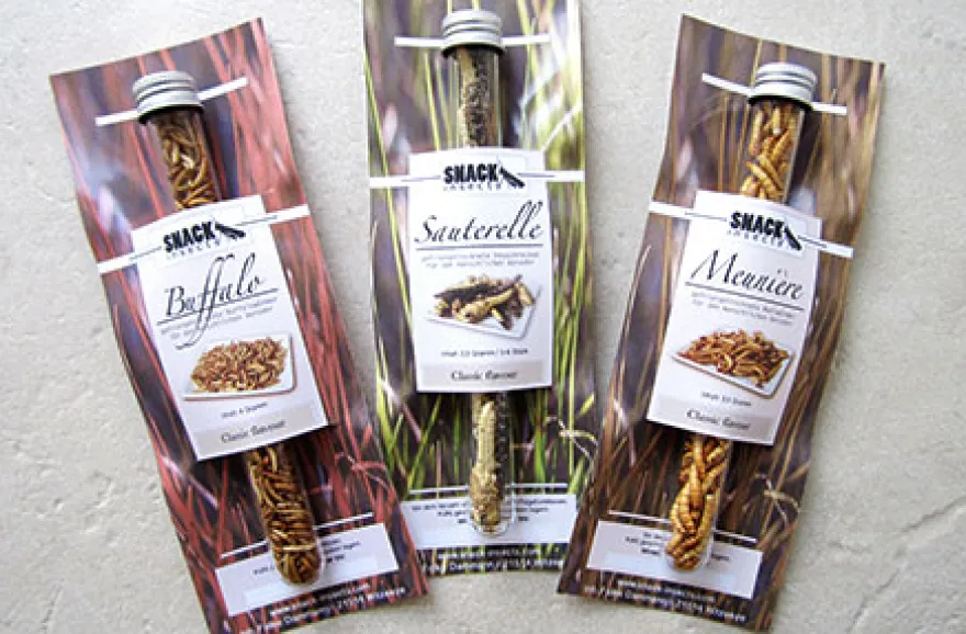 Snack Insects Kochset für Zuhause Österreich