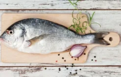 Sommerliche Fischgerichte Basel