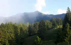 Sonnenaufgangstour mit Bergfrühstück Reit im Winkl