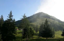 Sonnenaufgangstour mit Bergfrühstück Reit im Winkl