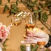 Spirits & Food Tasting Wien