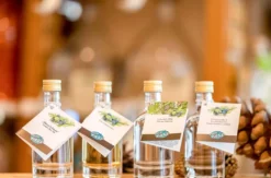 Spirituosen Tasting Wien