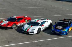 Sportwagen fahren Circuit Zandvoort (Unlimited)