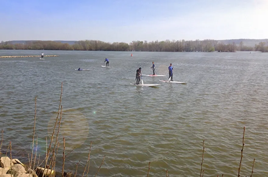 Stand Up Paddling Geisenheim