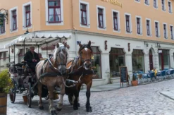 Städtereise Meißen für 2 (2 Nächte)