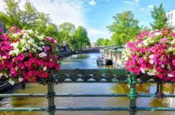 Städtetrip Amsterdam mit Grachtenfahrt