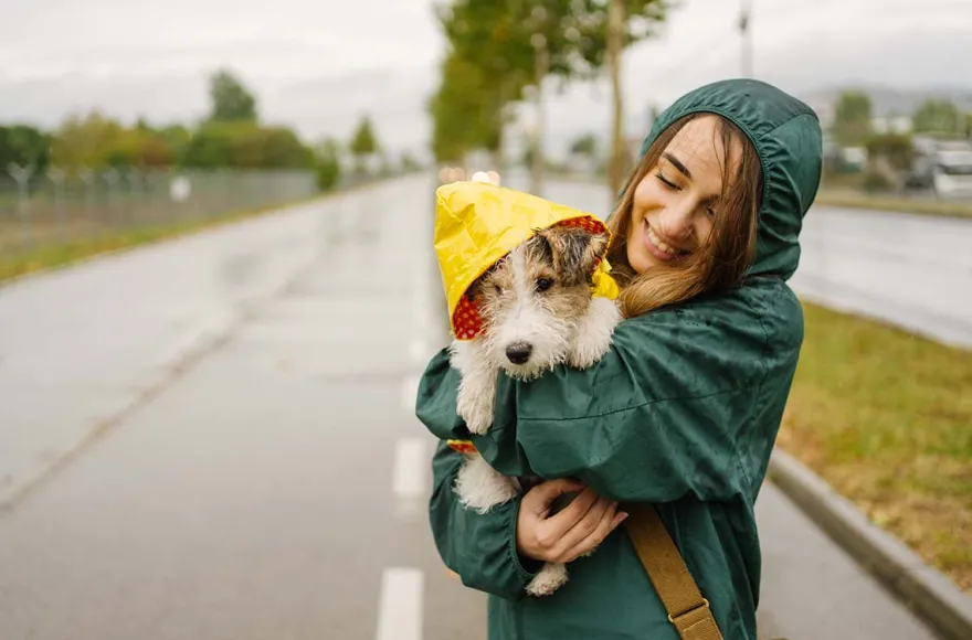 Städtetrip mit Hund Düsseldorf für 2 (1 Nacht)