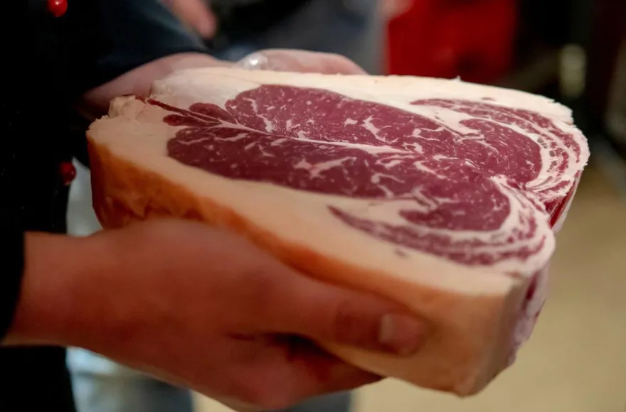 Steak Tasting Chemnitz (4 Std.)