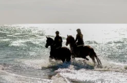 Strandritt Ostsee mit Probestunde Hirschburg (Mai - Sept.)