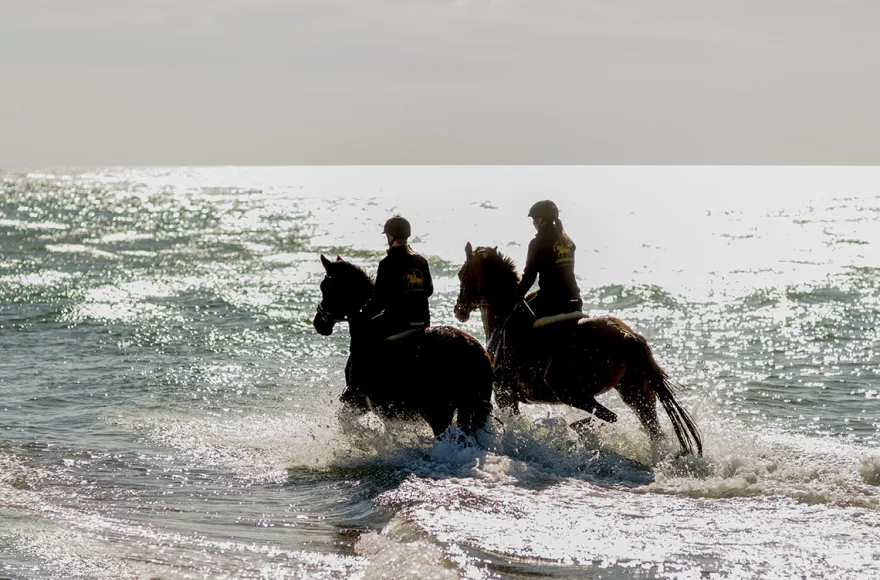 Strandritt Ostsee mit Probestunde Hirschburg (Mai - Sept.)