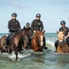 Strandritt Ostsee mit Probestunde Hirschburg (Okt. - Apr.)