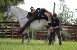 Stuntman Training Großschönau