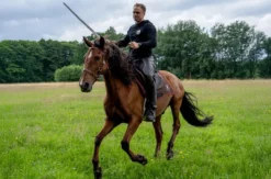 Stuntreiten Herrnhut