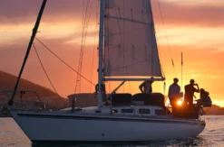 Sunset Sailing