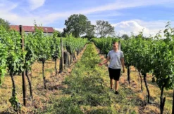 Sunset Wine Tasting Hohenruppersdorf