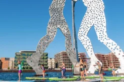 SUP City Tour Berlin (ca. 3 Std.)