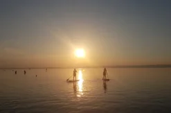 SUP Tour Neusiedler See