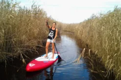 SUP Tour Neusiedler See