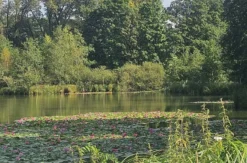 SUP Yoga für 2 Seck (Privatstunde)