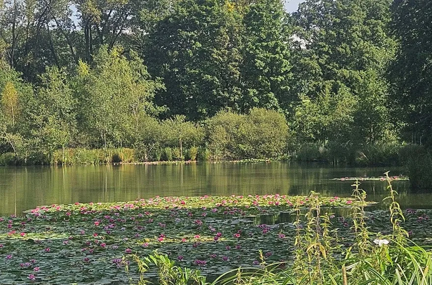 SUP Yoga für 2 Seck (Privatstunde)