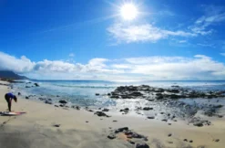 Surf-Kurs auf Fuerteventura