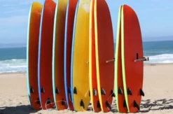 Surfkurs Bordeaux (1,5 Std.)