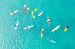 Surfkurs Bordeaux (3 Tage)