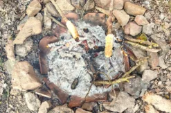 Survival Abenteuer Wehrheim